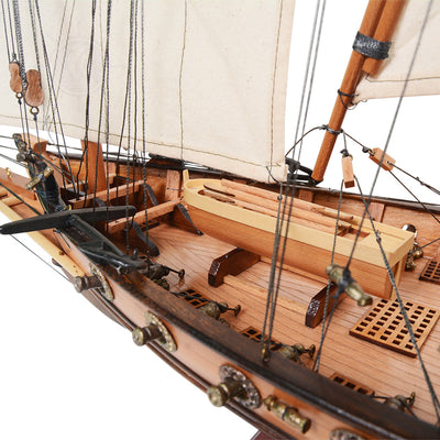 Xebec Sailing Ship Model