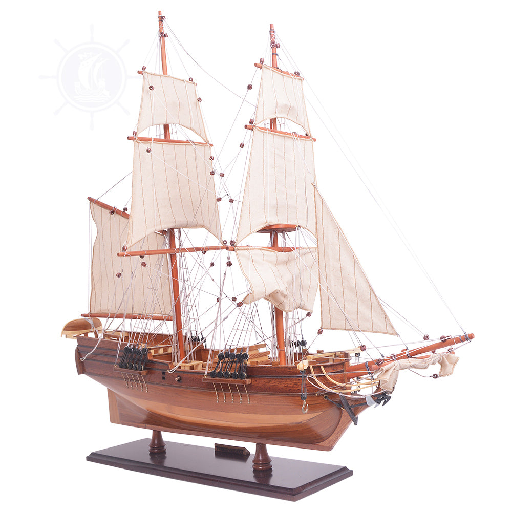 Own a Piece of History: Collector's Edition Lady Washington Model Ship