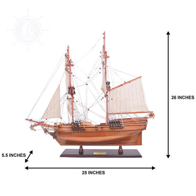 Lady Washington Sailing Ship Model