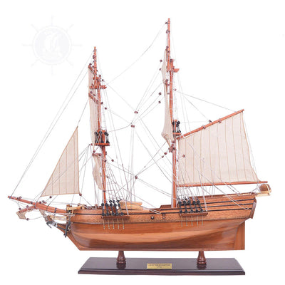 Lady Washington Sailing Ship Model