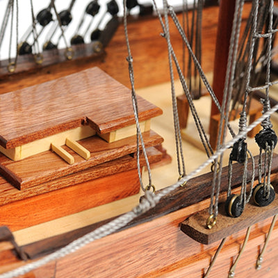 Lady Washington Sailing Ship Model