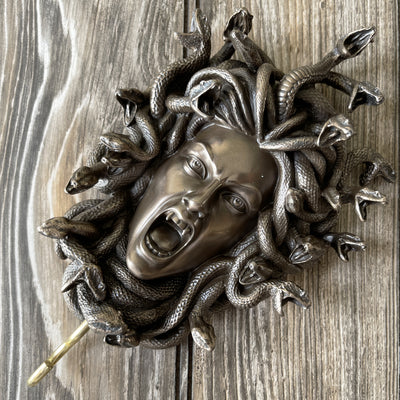 Greek Mythology Head Of Medusa Wall Hoo