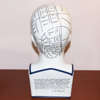 Porcelain Phrenology Head Medical Decor