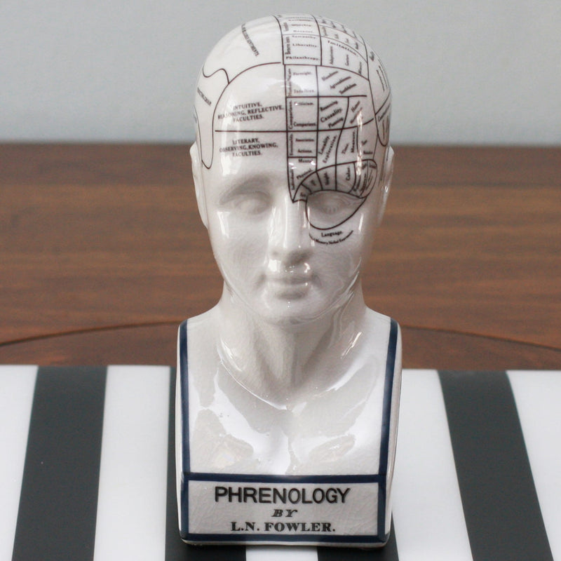 Porcelain Phrenology Head Medical Decor Small