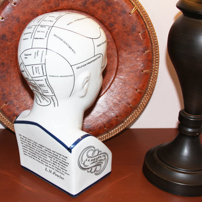 Porcelain Phrenology Head Medical Decor Large