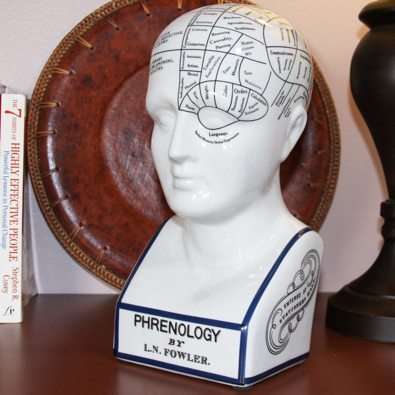 Porcelain Phrenology Head Medical Decor Large