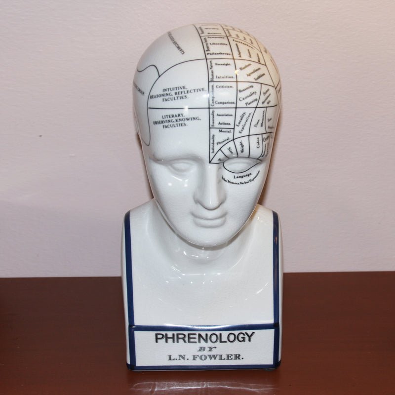 Porcelain Phrenology Head Medical Decor