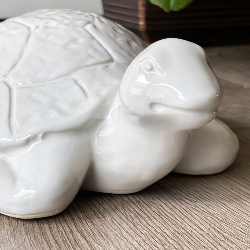 Handmade White Turtle Ceramic Home Decor Head